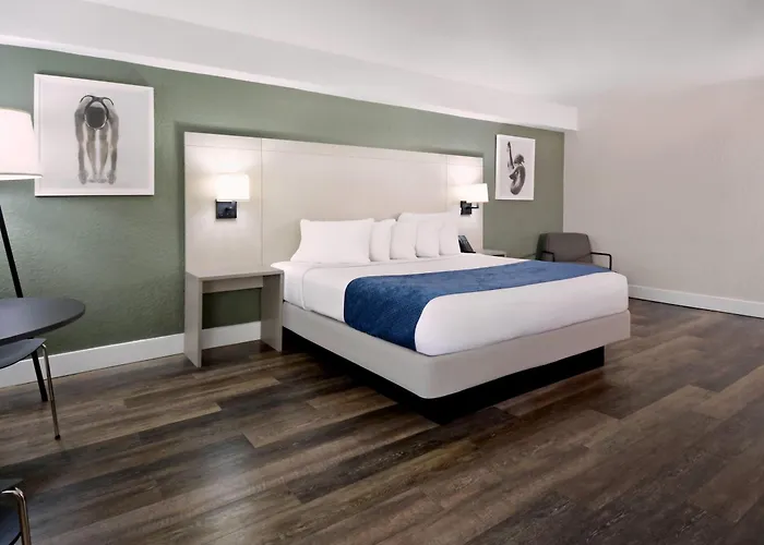 Wyndham I-Drive Avanti Resort & Conference Center Orlando